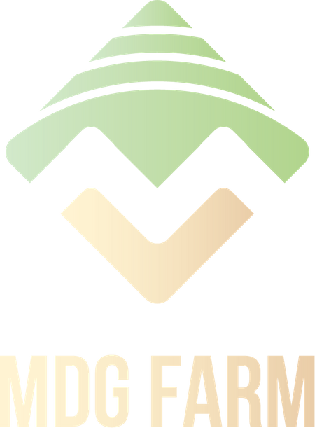 MDG FARM | Sầu riêng quanh năm